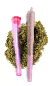 CBD PRE-ROLLS Pinkline joint